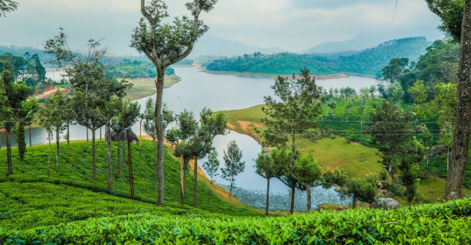God’s Own Country: The Ultimate Kerala Travel Guide and Itinerary.